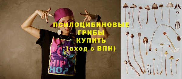 гашик Тында