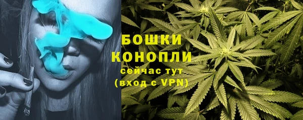 прущий лед Краснослободск