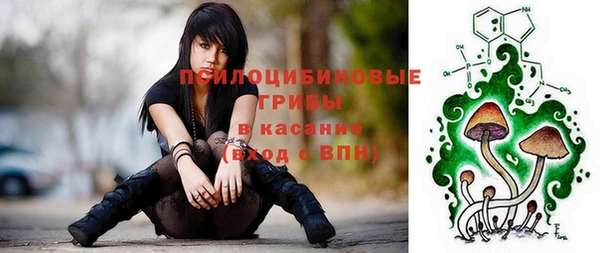 прущий лед Краснослободск
